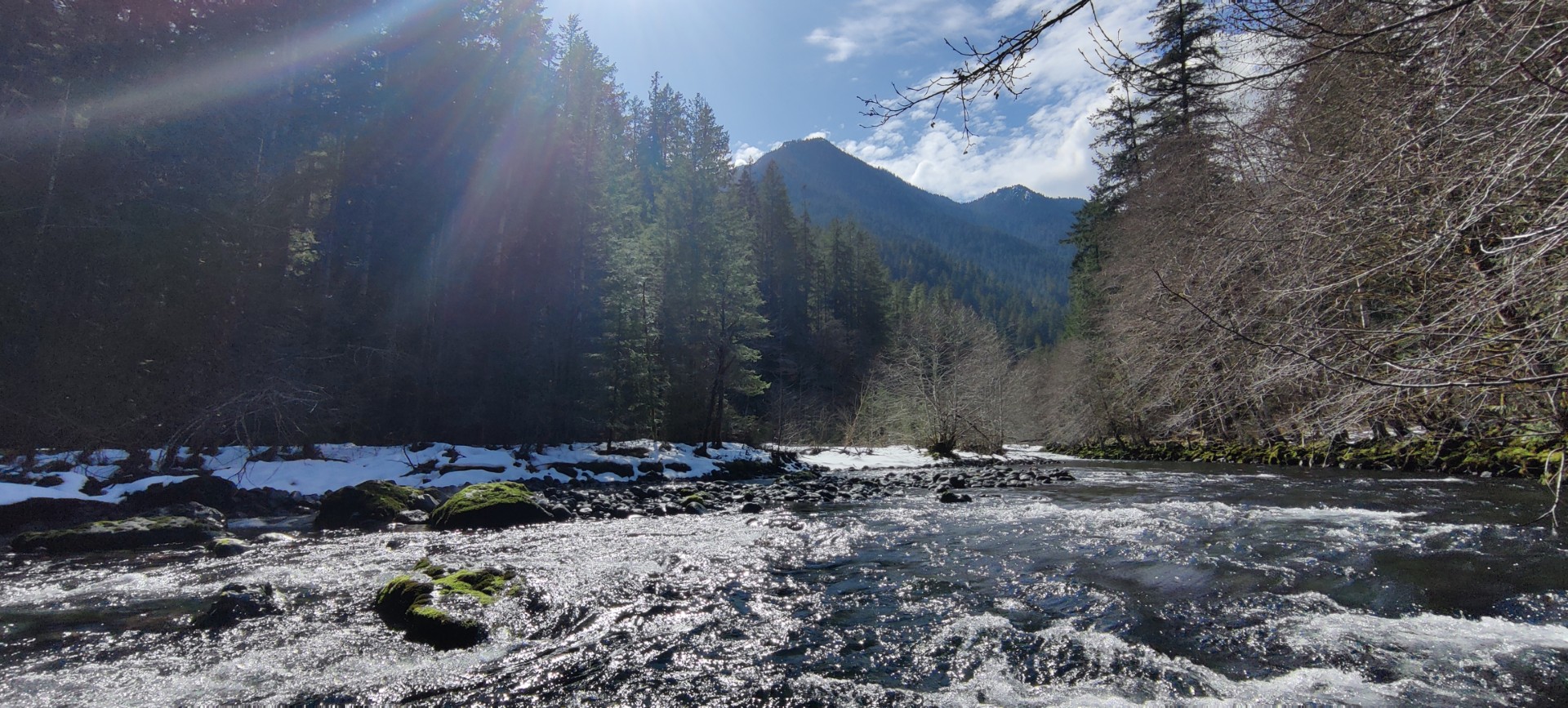 River with sun flare in the Pacific Northwest